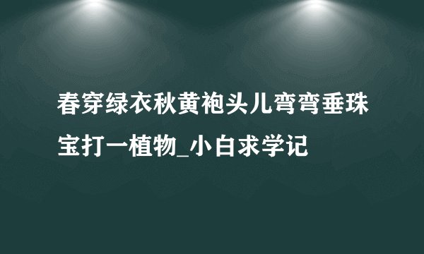 春穿绿衣秋黄袍头儿弯弯垂珠宝打一植物_小白求学记