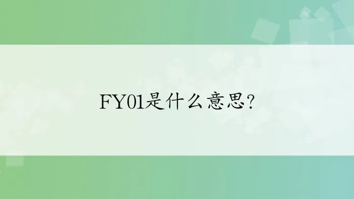 FY01是什么意思？
