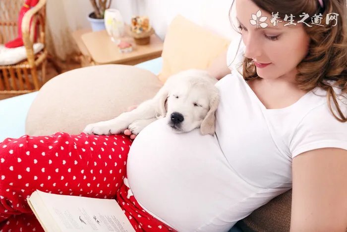 韩国女星美胸排行榜TOP10