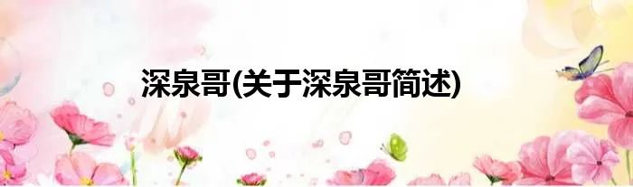 深泉哥(关于深泉哥简述)