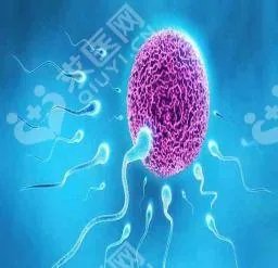 中国试管婴儿医院中哪些技术更好？