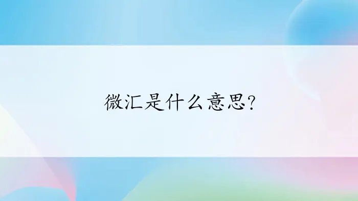 微汇是什么意思？