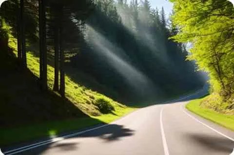 奥巴马妻子米歇尔简介:个子最高 ... ？