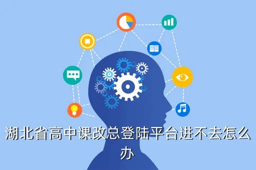 湖北省高中课改平台，湖北省高中课改总登陆平台进不去怎么办