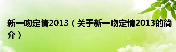 新一吻定情2013（关于新一吻定情2013的简介）