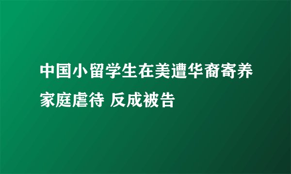 中国小留学生在美遭华裔寄养家庭虐待 反成被告