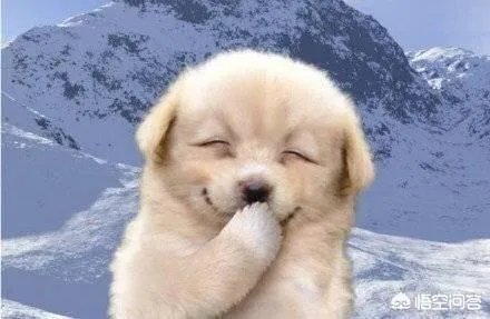 相亲男女怎么样算确定关系？