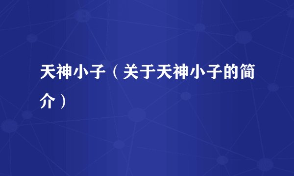 天神小子（关于天神小子的简介）