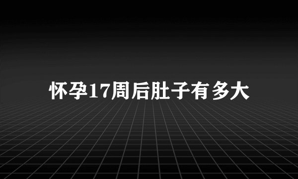 怀孕17周后肚子有多大