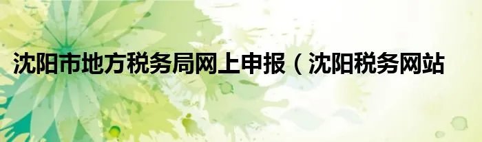 沈阳市地方税务局网上申报（沈阳税务网站