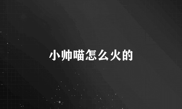 小帅喵怎么火的