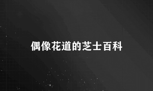 偶像花道的芝士百科
