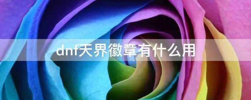 dnf天界徽章有什么用