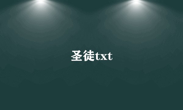圣徒txt