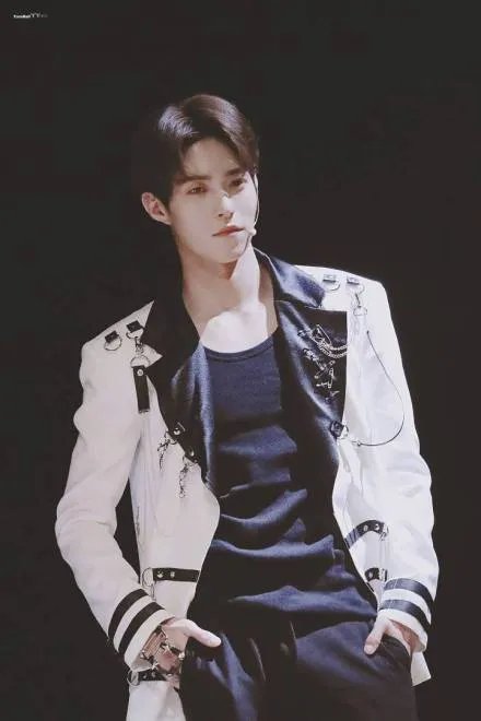 岳明辉雪儿事件始末 岳岳原名叫岳明辉