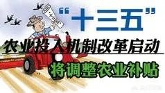 农村补贴项目有哪些？