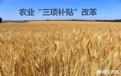 农村补贴项目有哪些？