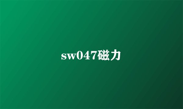 sw047磁力