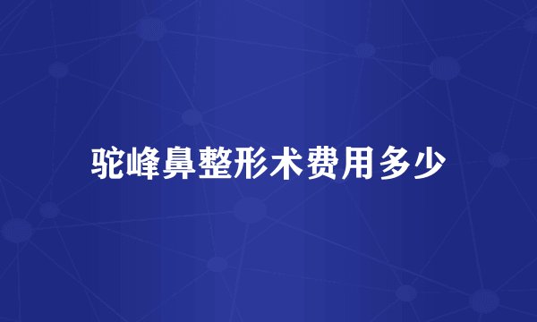 驼峰鼻整形术费用多少