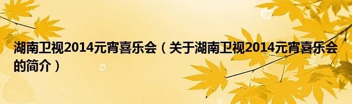 湖南卫视2014元宵喜乐会（关于湖南卫视2014元宵喜乐会的简介）