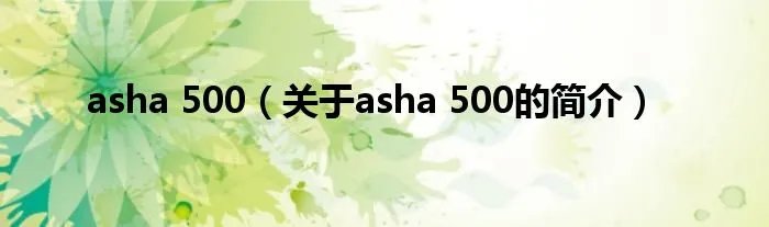 asha 500（关于asha 500的简介）