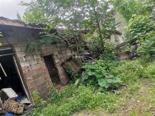 母亲和哥哥相继去世,高考前一天父亲去世,四川这位男孩今后将如何生活?