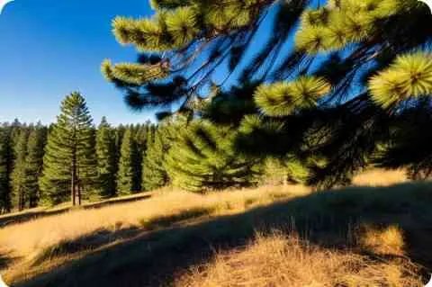 兰陵王高长恭容貌复原图，原来面具里藏着一张如此俊俏的脸