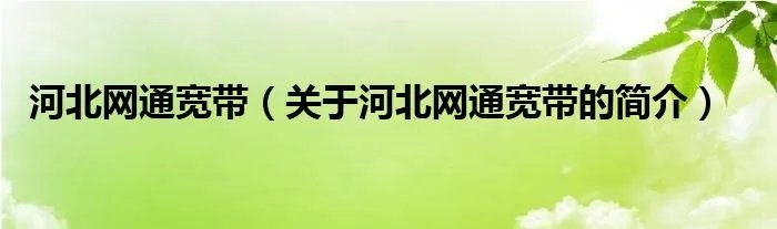 河北网通宽带（关于河北网通宽带的简介）