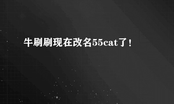 牛刷刷现在改名55cat了！