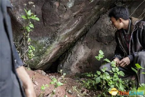 云南村民炖狼惊呆网友 野狼偷鸡遭村民打死吃掉