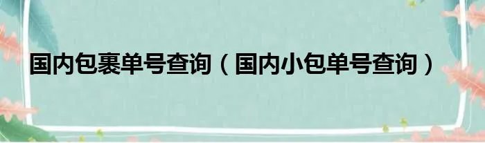 国内包裹单号查询（国内小包单号查询）
