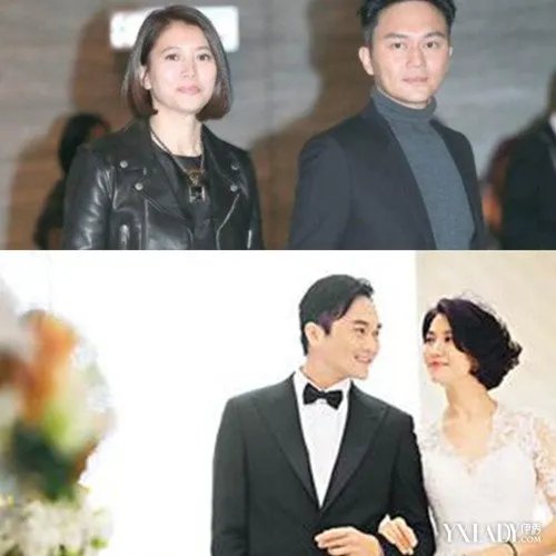 袁咏仪曝婚姻危机欲离婚深度揭秘其离婚背后的原因