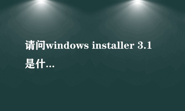 请问windows installer 3.1是什么程序啊
