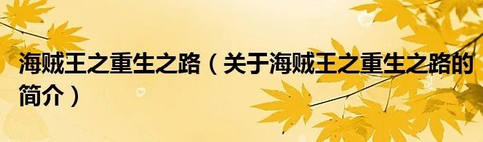 海贼王之重生之路（关于海贼王之重生之路的简介）