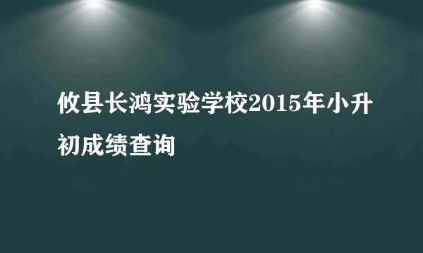 攸县长鸿实验学校2015年小升初成绩查询