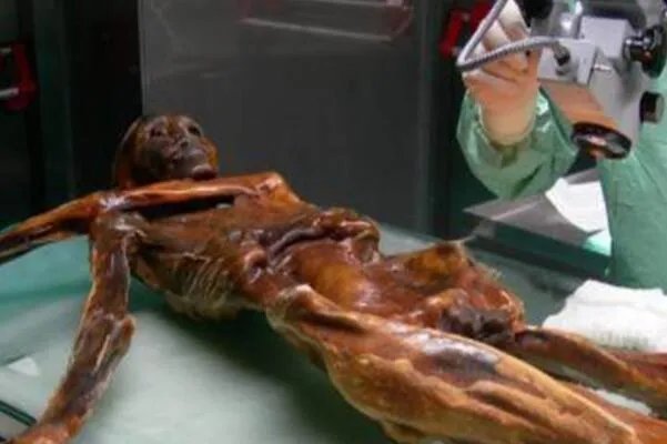 世界十大古墓稀世珍宝,萨顿胡上榜,第一是世界十大古墓之一