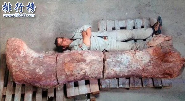 世界上最大的恐龙化石：泰坦巨龙身长40米重77吨(相当于14头大象)