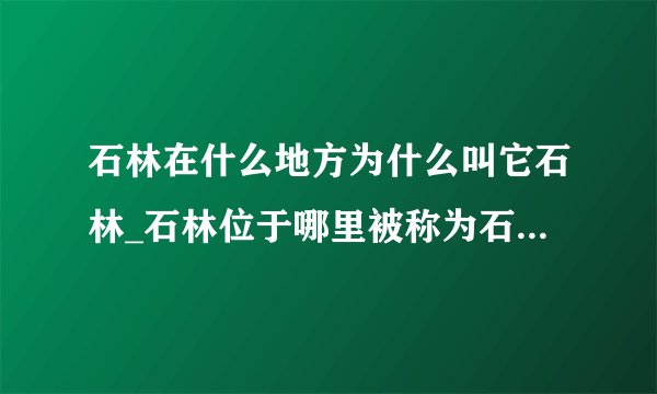 石林在什么地方为什么叫它石林_石林位于哪里被称为石林的原因(2)