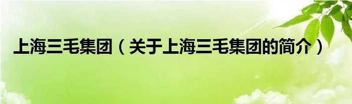 上海三毛集团（关于上海三毛集团的简介）