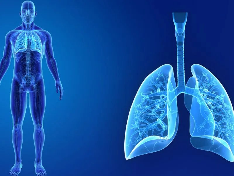 有哪些治肺气肿的药