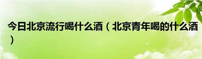 今日北京流行喝什么酒（北京青年喝的什么酒）