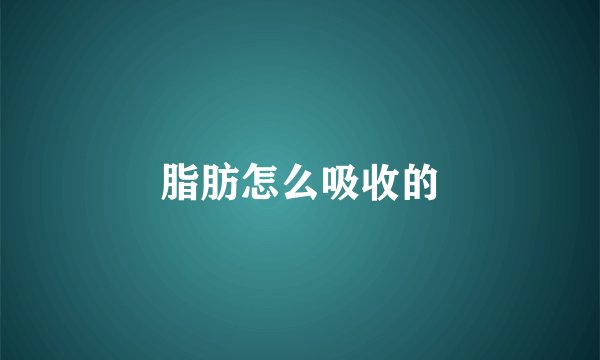 脂肪怎么吸收的