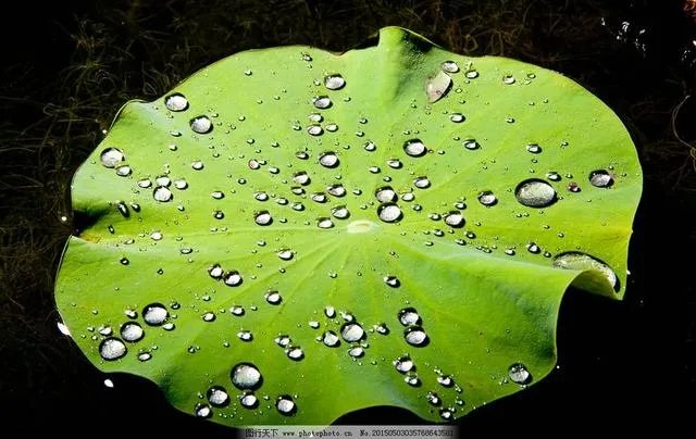 “架上丝瓜酷如吊”，难倒苏东坡的上联，谁能对出下联？