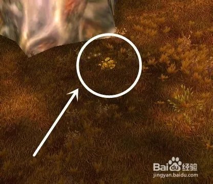 褪色的巫师帽怎么获得？