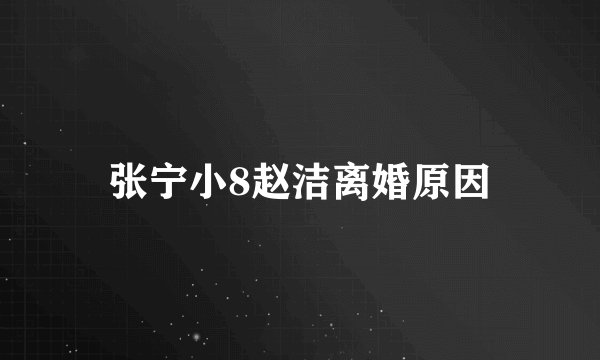 张宁小8赵洁离婚原因
