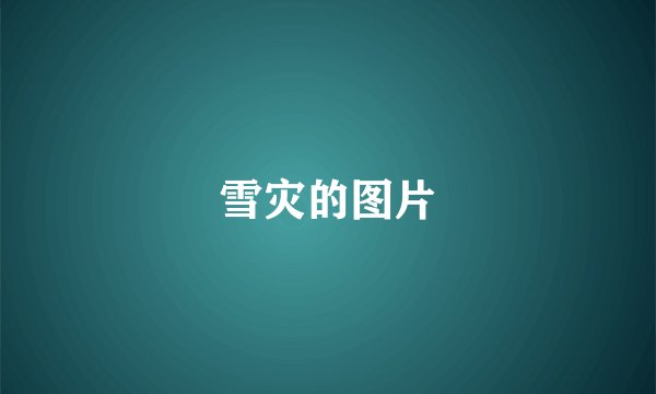 雪灾的图片