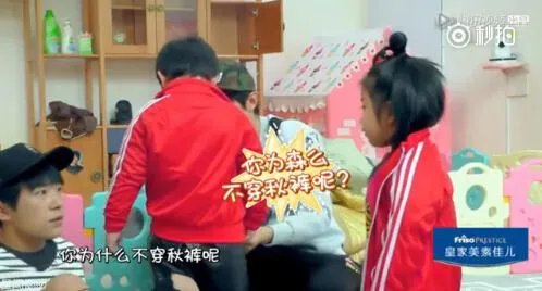 《放开我的北鼻》什么时候开播？