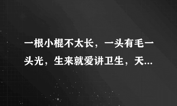 一根小棍不太长，一头有毛一头光，生来就爱讲卫生，天天嘴里跑几趟。 提示：打一常用物