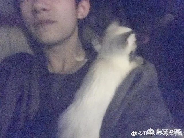 易烊千玺罕见发自拍，拍照姿势太独特，是和白敬亭学的吗？