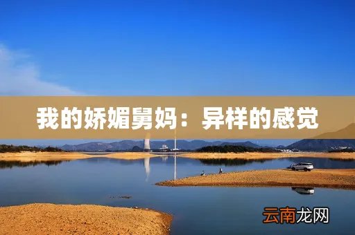 我的娇媚舅妈：异样的感觉